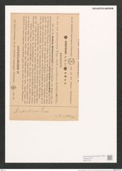 Synedra simbirskiana Grun. (de-Toni-Nr.: Genus 66, Species 2606) Zeichnungen Sammlung Grunow (NHMW-BOT-W0373723)
